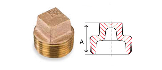 Bronze Square Head Cored Plugs
